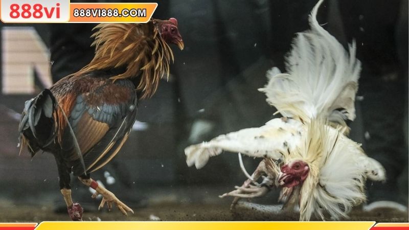 Quản lý vốn thông minh đẩy nhanh quá trình